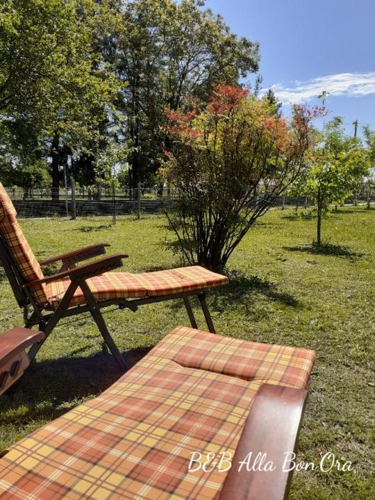 B&B Alla Bon'ora Volpago del Montello Esterno foto