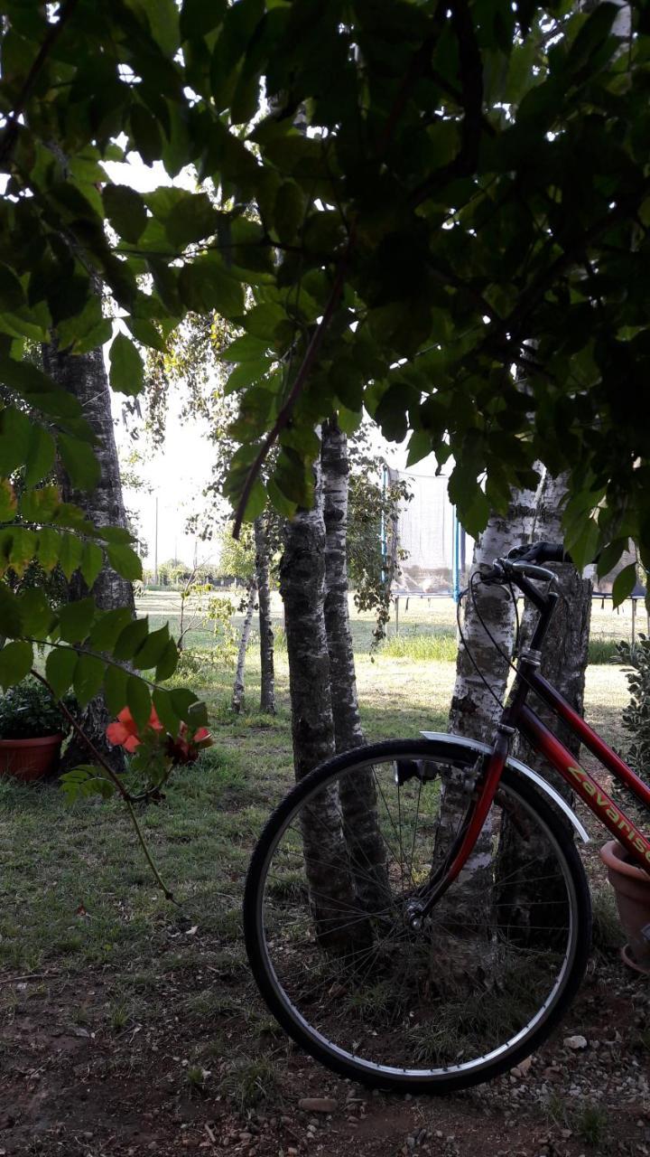 B&B Alla Bon'ora Volpago del Montello Esterno foto